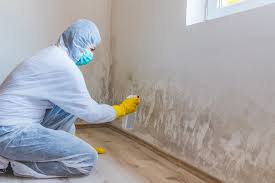 Best Mold Prevention Services  in Basehor, KS